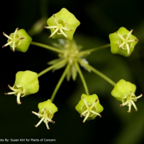 intern request image