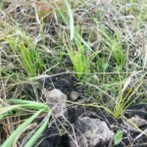 intern request image