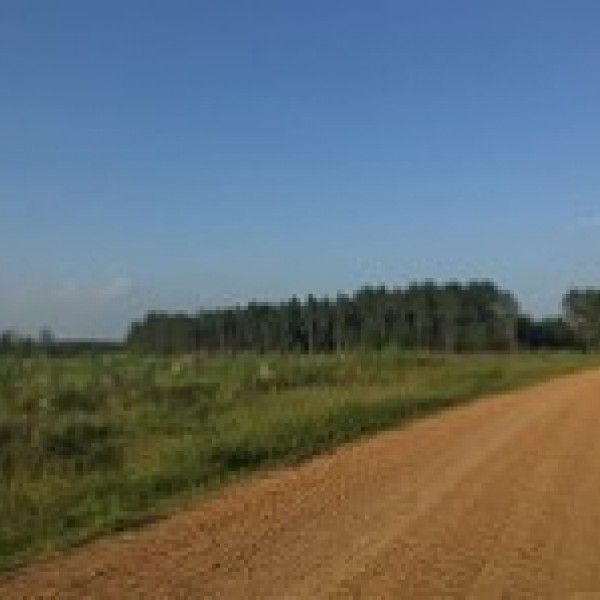 intern request image