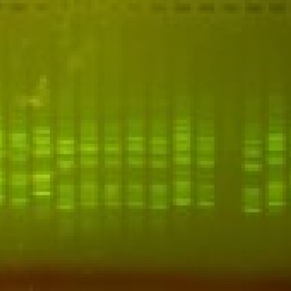 intern request image