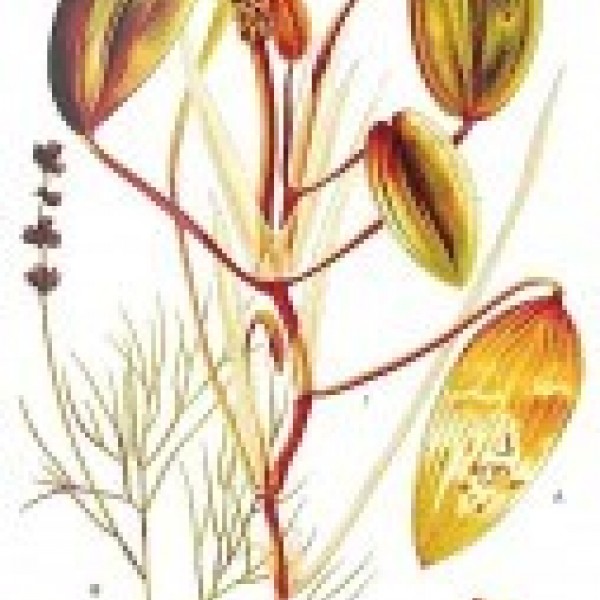 intern request image